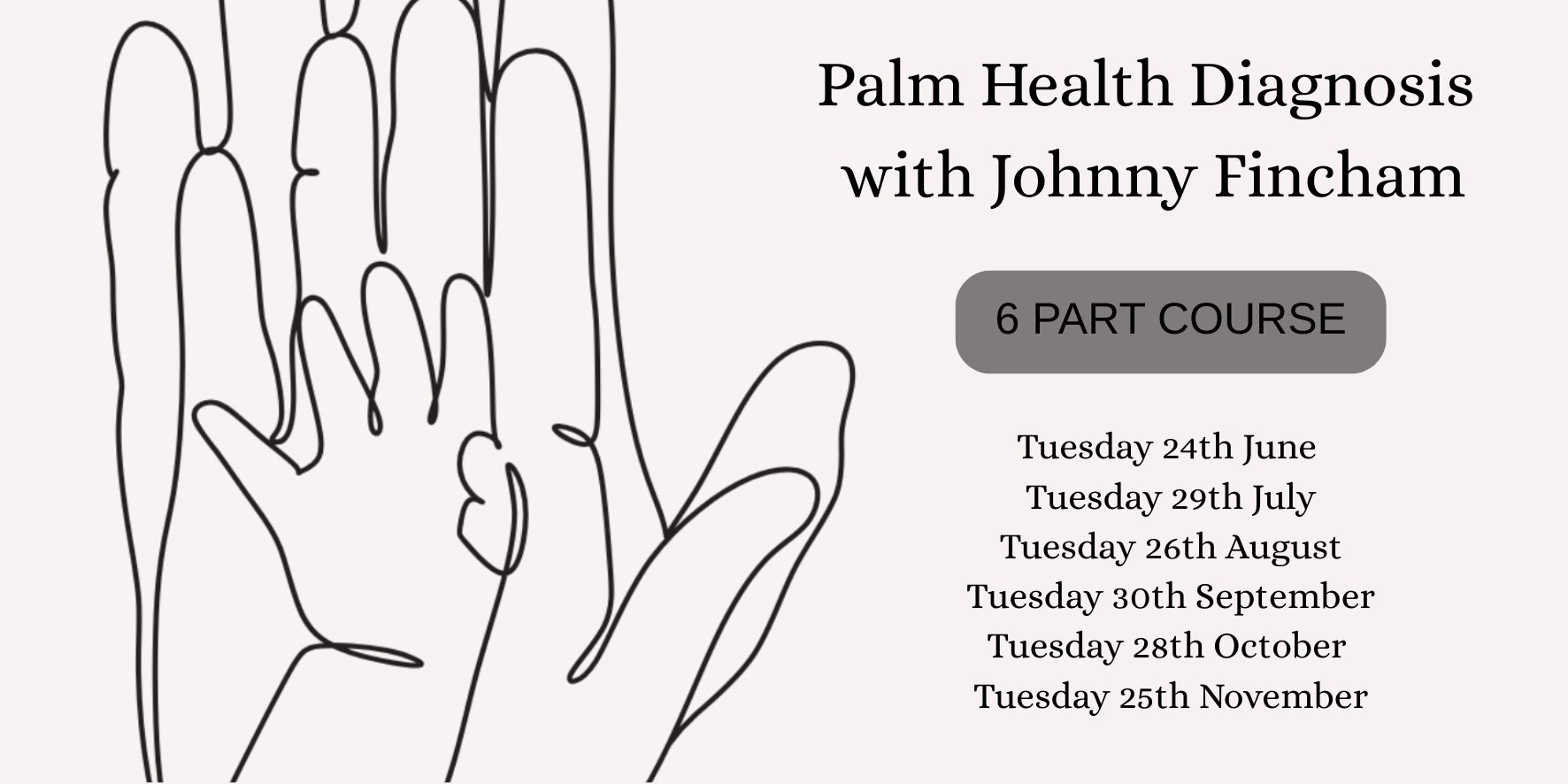 Palm Health Diagnosis with Johnny Fincham